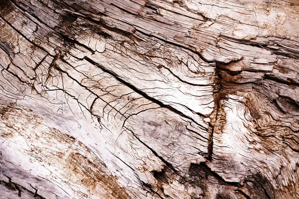 Detail van een oude verweerde houten kofferbak — Stockfoto