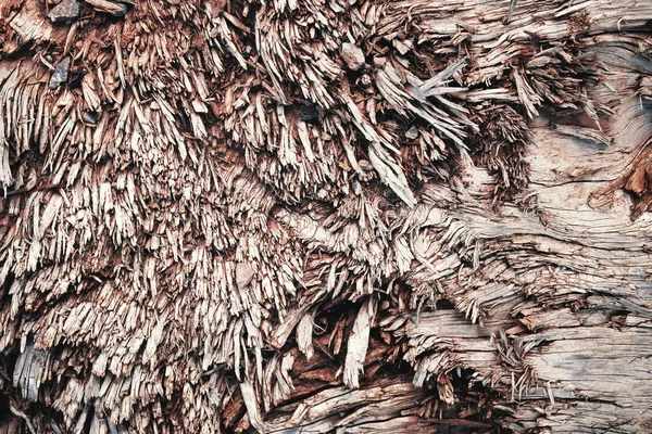 Detail van een oude gescheurd houten kofferbak — Stockfoto