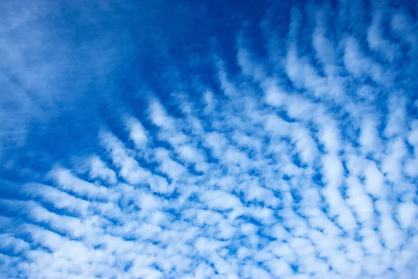 Detalhes céu com nuvens algas — Fotografia de Stock
