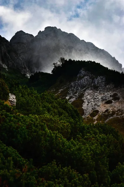 Kayalık sonbahar manzarasında sis — Stok fotoğraf