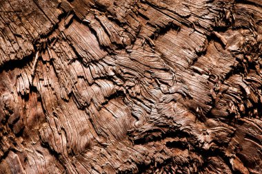 Yırtık ahşap ile koyu kahverengi renk dokusu