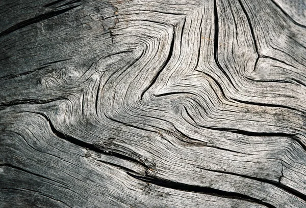 background or texture detail of wavy cracks on old wood
