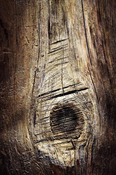 Background Detail Old Dry Trunk Knot — Stock Photo, Image