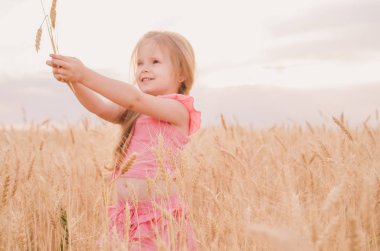 Bir buğday alanında güzel küçük kız