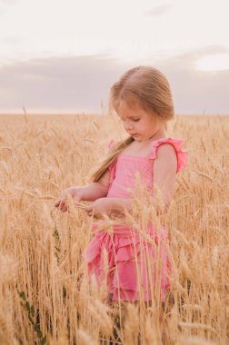 Bir buğday alanında güzel küçük kız