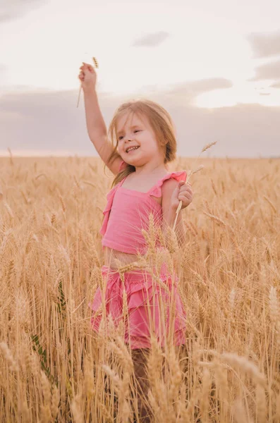 Schönes Kleines Mädchen Einem Weizenfeld — Stockfoto