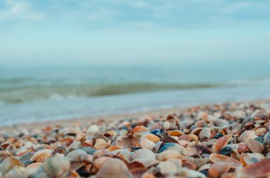 Deniz ve deniz kum üzerinde