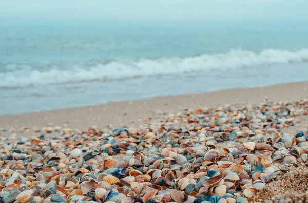 Deniz ve deniz kum üzerinde