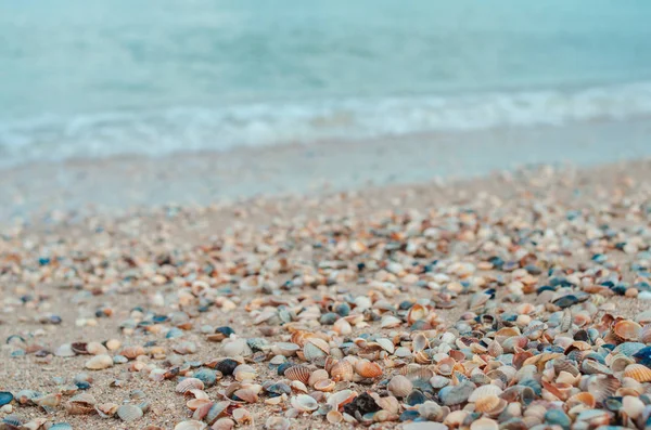 Deniz ve deniz kum üzerinde