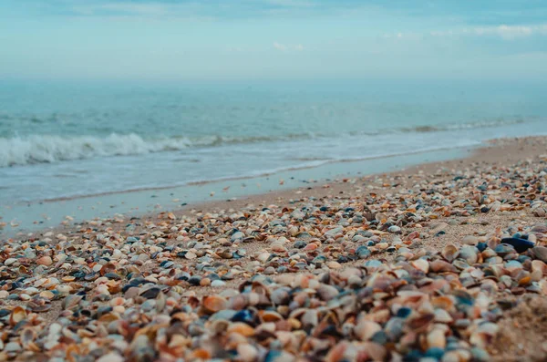 Deniz ve deniz kum üzerinde