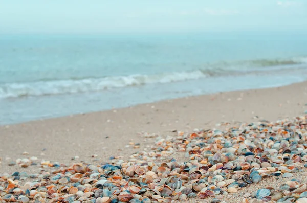 Deniz ve deniz kum üzerinde