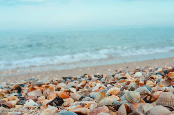Deniz ve deniz kum üzerinde
