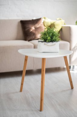 Dekorasyon tasarım ev masa ofis oturma odası