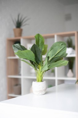 Modern oturma odası kanepe ve mobilya ile