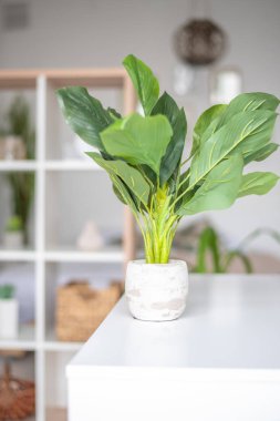 Modern oturma odası kanepe ve mobilya ile