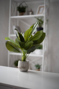 Modern oturma odası kanepe ve mobilya ile