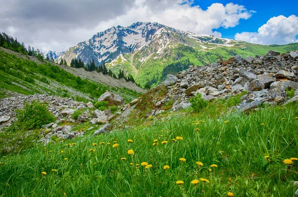 Ushguli - Avrupa 'nın en yüksek yerleşim olan köyü. Kafkaslar, Yukarı Svaneti - UNESCO Dünya Mirası Bölgesi. Georgia. — Stok fotoğraf