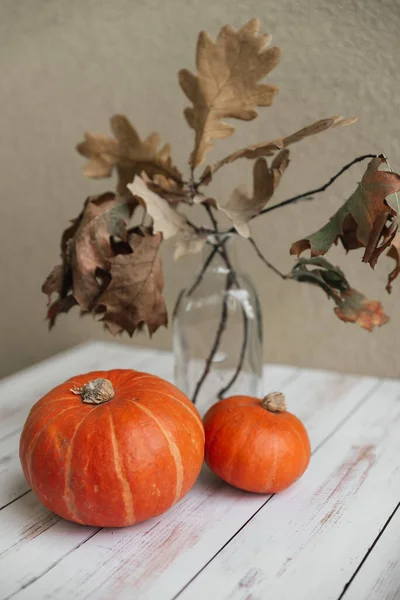 To orange græskar på hvid baggrund. Næste er en vase med efterårsblade. Efterårsstilleben. Halloween. Høst. Postkort - Stock-foto