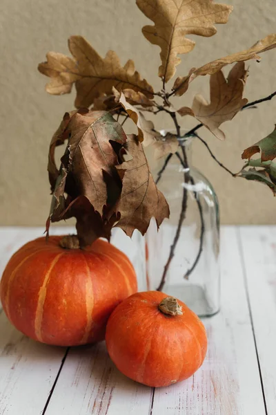 Zwei orangefarbene Kürbisse auf weißem Hintergrund. Als nächstes kommt eine Vase mit Herbstblättern. Herbst-Stillleben. Halloween. Ernte. Postkarte — Stockfoto