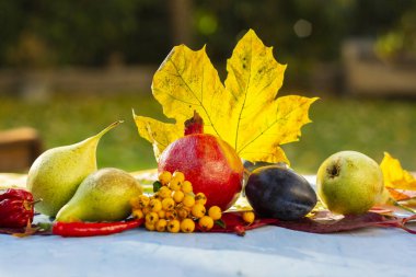 Sıcak güneşin altında sonbahar yaprakları ve hasat kompozisyon