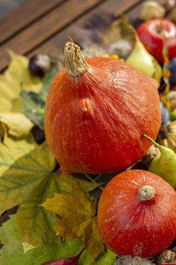 Sıcak güneşin altında sonbahar yaprakları ve hasat kompozisyon