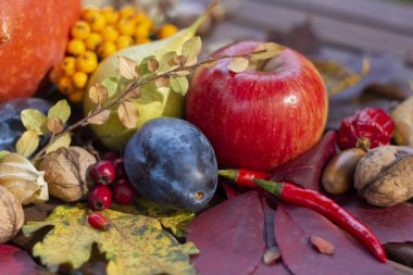 Sıcak güneşin altında sonbahar yaprakları ve hasat kompozisyon