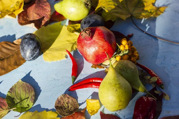 Sıcak güneşin altında sonbahar yaprakları ve hasat kompozisyon