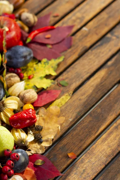 Sıcak güneşin altında sonbahar yaprakları ve hasat kompozisyon