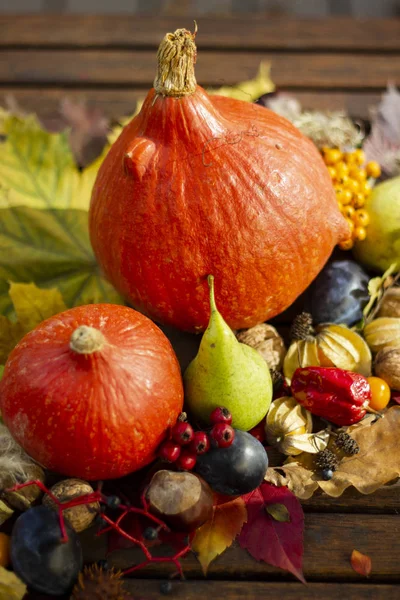 Sıcak güneşin altında sonbahar yaprakları ve hasat kompozisyon