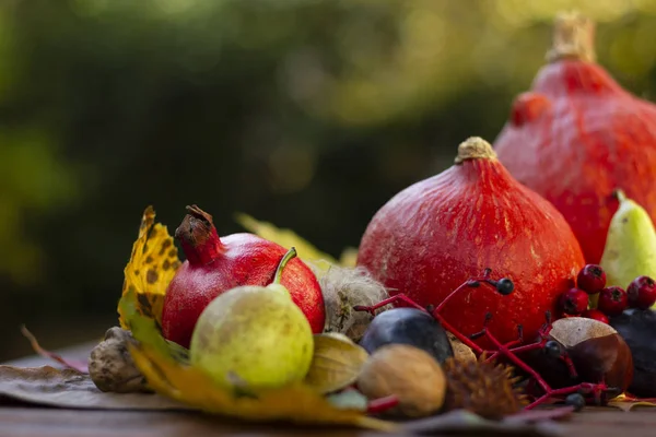 Sıcak güneşin altında sonbahar yaprakları ve hasat kompozisyon