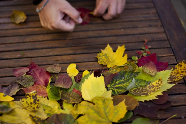 Sonbahar renkli oluşturma kompozisyon tahta masada bırakır