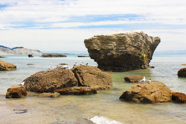 Hastings Hawkes Bay Yeni Zelanda yakınındaki Cape kaçıranlar üzerinde su manzaralı
