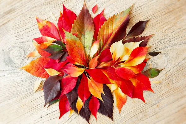 Sonbahar renkli daire kompozisyon tahta masada bırakır