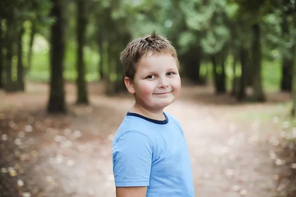 Πορτρέτο του ένα χαριτωμένο χαμογελαστό αγόρι στην ηλιόλουστη φθινοπωρινή μέρα. Πορτρέτο της νεαρό αγόρι στην φύση, πάρκο ή σε εξωτερικούς χώρους. — Φωτογραφία Αρχείου