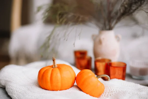 Autumn composition with pumpkins. Autumn, fall, Halloween, Thanksgiving day concept. Flat lay, top view — Stock Photo, Image