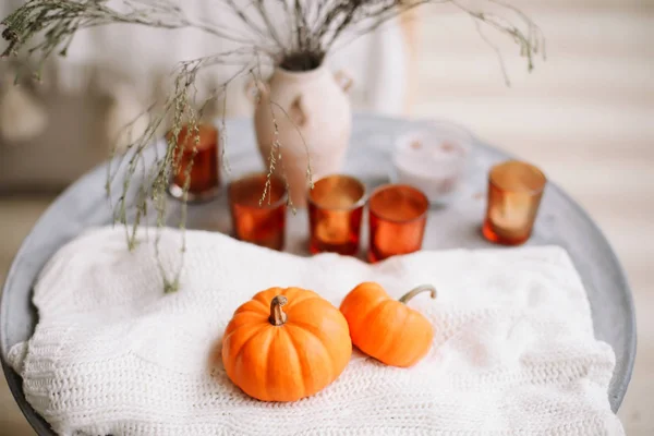 Autumn composition with pumpkins. Autumn, fall, Halloween, Thanksgiving day concept. Flat lay, top view — Stock Photo, Image