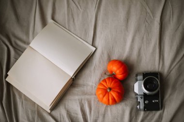 Sonbahar kompozisyon ile kabak, kitap ve vintage bir fotoğraf makinesi. Sonbahar, Güz, Cadılar Bayramı, Şükran günü kavramı. Düz yatıyordu, en iyi görünümü
