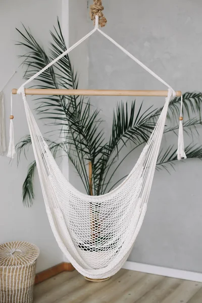 Cozy white hammock in living area, relaxing corner with palm tree at home. Minimal home interior design.