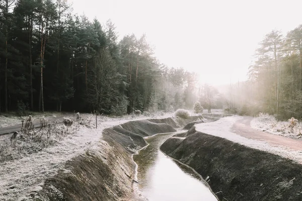 Winter  landscape. Calm winter river surrounded by trees. Winter forest on the river. Beautiful winter nature.