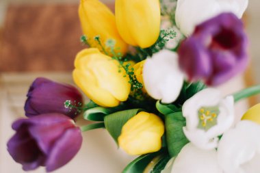 Güzel Lale buketi. Bahar lale çiçekleri karışımı. Taze bahar çiçekleri beyaz arka plan üzerinde. 