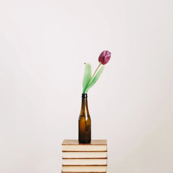 在白色背景的一叠书上的瓶子里的新鲜春天郁金香。春天的概念 — 图库照片
