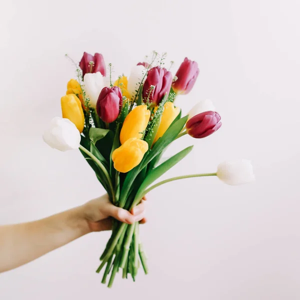 Bouquet of bright tulips in a female hand on a white background — Stock Photo, Image