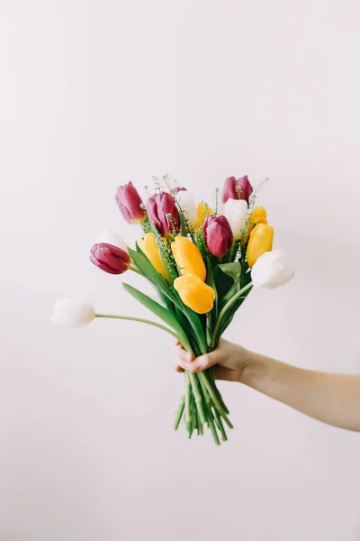 Bouquet of bright tulips in a female hand on a white background — Stock Photo, Image