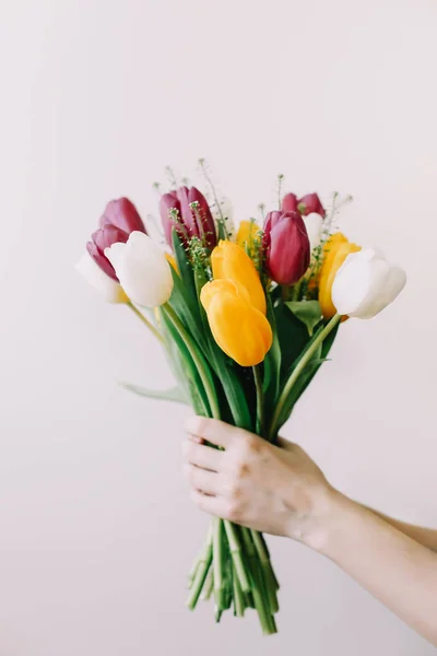 Bouquet of bright tulips in a female hand on a white background — Stock Photo, Image