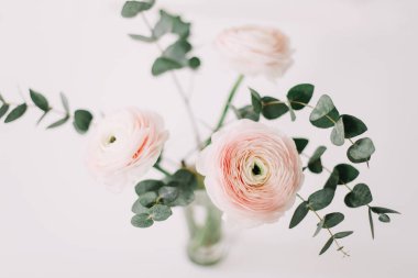 Beyaz arka plan üzerinde pembe Düğünçiçeği. Romantik arka plan için düğün davetiyeleri. Çiçek kompozisyon. Flatlay, kopya alanı. 