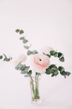 Beyaz arka plan üzerinde pembe Düğünçiçeği. Romantik arka plan için düğün davetiyeleri. Çiçek kompozisyon. Flatlay, kopya alanı. 