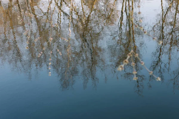 Lente natuur achtergrond. reflectie in het water. lente behang. Abstracte wazige achtergrond. Lente. ruimte kopiëren — Stockfoto