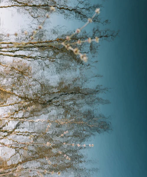 Pozadí jarní povahy. odraz ve vodě. pružinové tapety. Abstraktní rozmazané pozadí. Jaro. místo pro kopírování — Stock fotografie