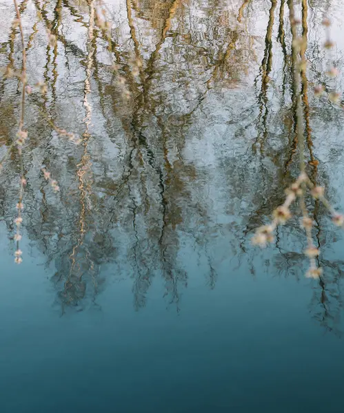 bahar doğa arka plan. suya yansıma. bahar duvar kağıdı. Soyut bulanık arka plan. Bahar. Kopyalama alanı