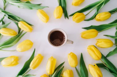 Beyaz arka planda lale ler çerçevesinde bir kahve fincanı. Düz yatıyordu, üstten bak. Tatil kavramı, doğum günü, Paskalya, 8 Mart
